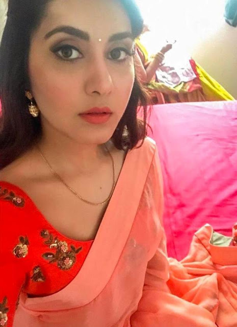 Actress Rashi Khanna In Traditional Pink Saree 2